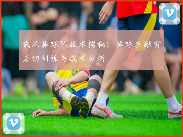 武汉排球队技术揭秘：排球巨献背后的训练与战术分析
