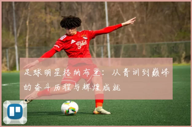 足球明星格纳布里：从青训到巅峰的奋斗历程与辉煌成就