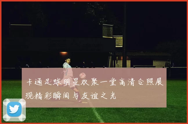 卡通足球明星欢聚一堂高清合照展现精彩瞬间与友谊之光