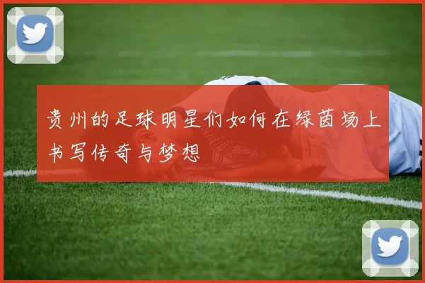 贵州的足球明星们如何在绿茵场上书写传奇与梦想