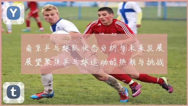 南京乒乓球队状态分析与未来发展展望聚焦乒乓球运动的热潮与挑战