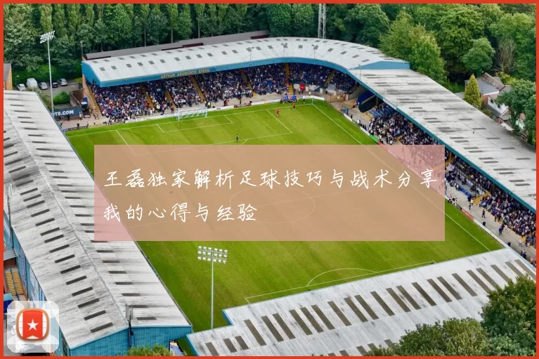 王磊独家解析足球技巧与战术分享我的心得与经验