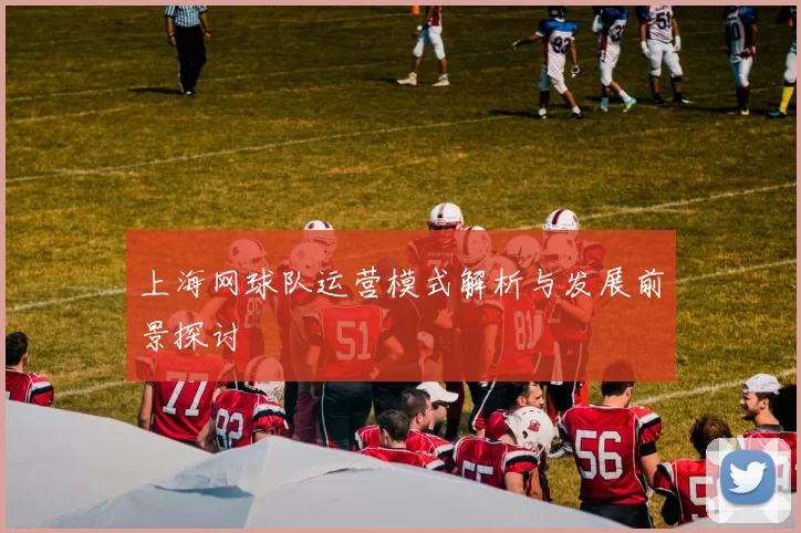 上海网球队运营模式解析与发展前景探讨
