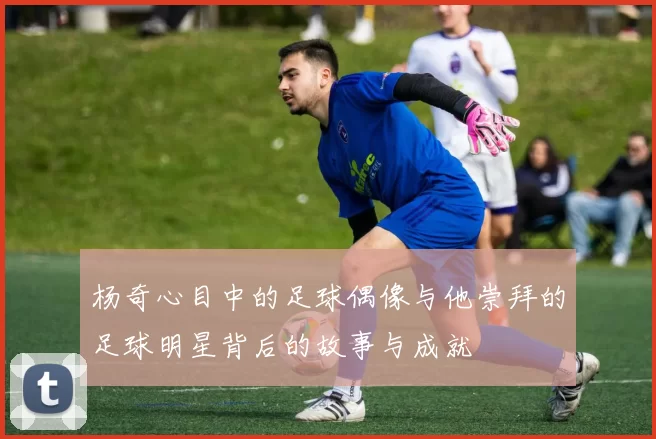 杨奇心目中的足球偶像与他崇拜的足球明星背后的故事与成就