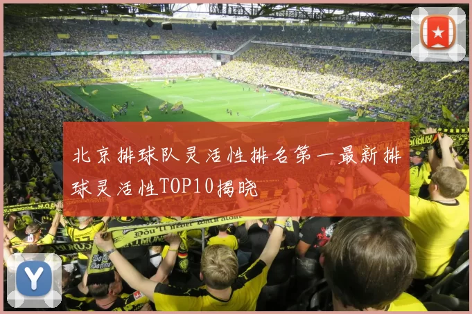 北京排球队灵活性排名第一最新排球灵活性TOP10揭晓