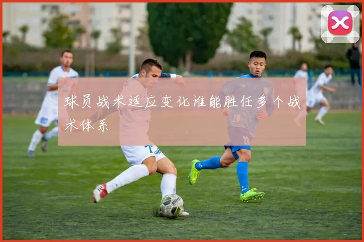球员战术适应变化谁能胜任多个战术体系