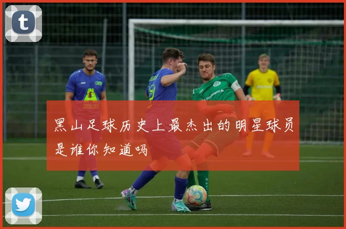 黑山足球历史上最杰出的明星球员是谁你知道吗