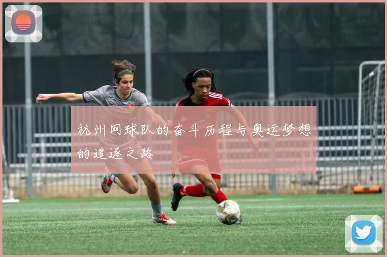杭州网球队的奋斗历程与奥运梦想的追逐之路