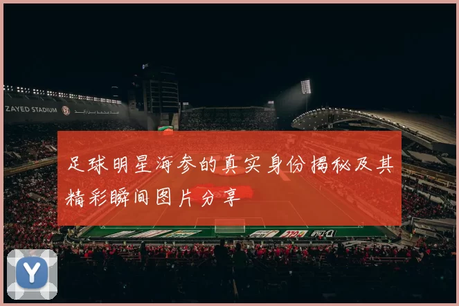 足球明星海参的真实身份揭秘及其精彩瞬间图片分享